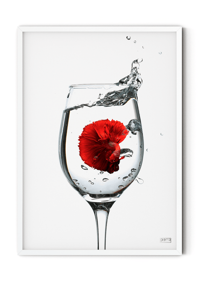 Plakat med fisk i glas