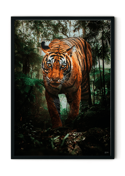 Plakat med tiger i junglen