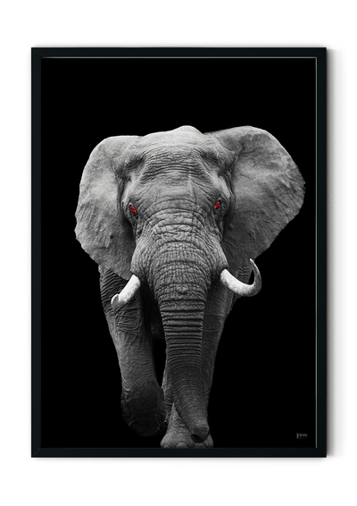 Plakat med elefant