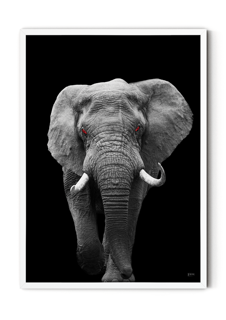 Plakat med elefant