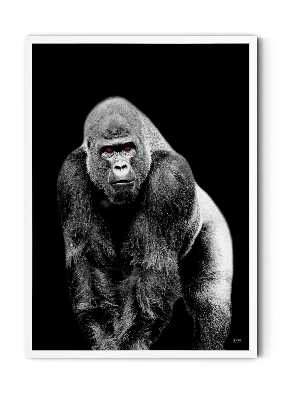 Plakat med gorilla