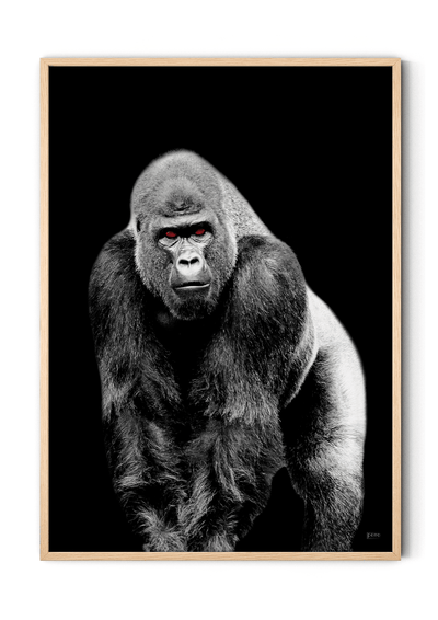 Plakat med gorilla