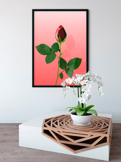 Plakat med rubin rose