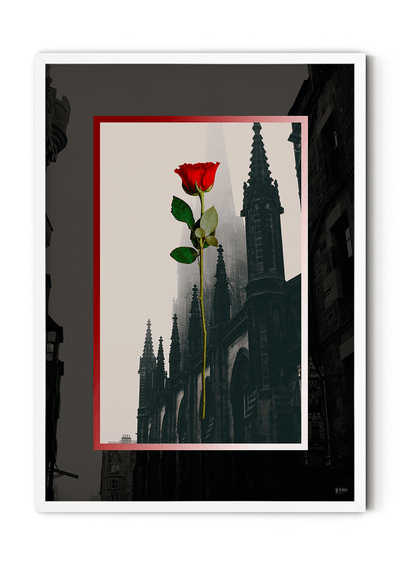 Plakat med rose