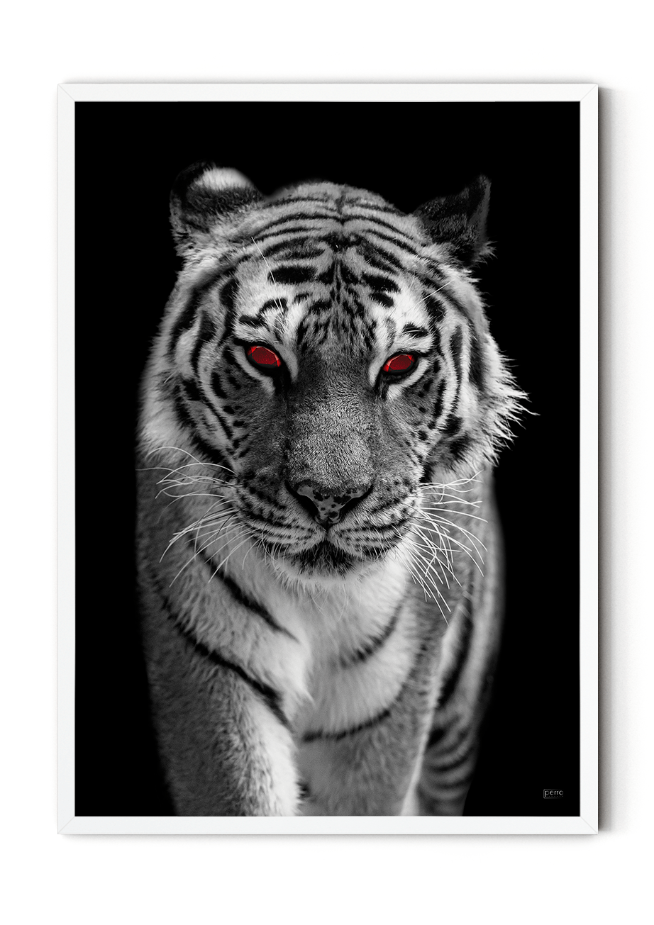 Tiger plakat
