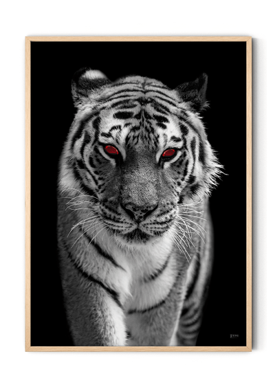 Tiger plakat